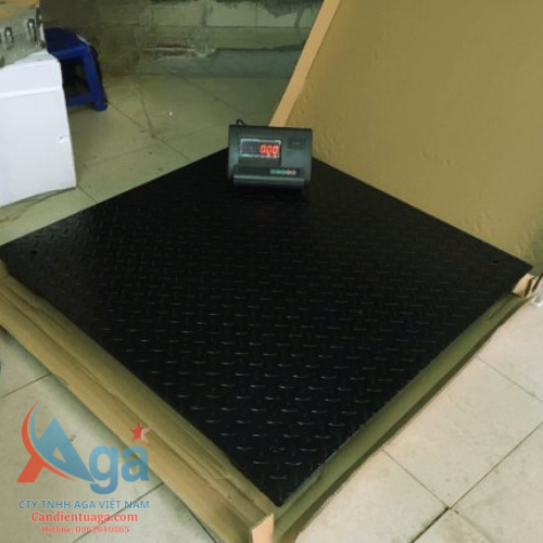 can dong vat khong long