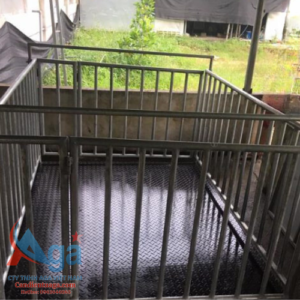 can dong vat co long 2