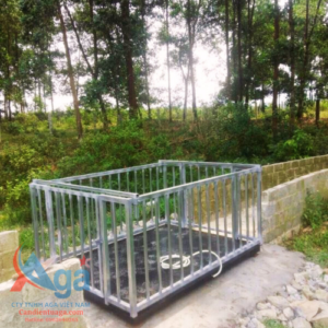 can dong vat co long-aga2