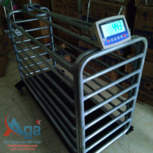 can heo 500kg-aga