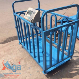 can lợn, heo 500kg