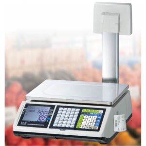 cas-ct100-ticket-printing-scale